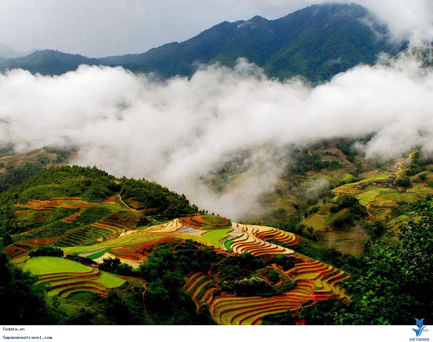 Thung lũng Mường Hoa Thung lũng Mường Hoa